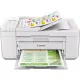 Многофункциональное устройство Canon Pixma TR4651